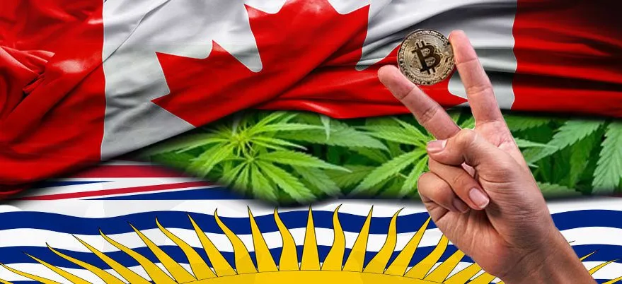 For British Columbia’s consideration: IBM proposes putting Marijuana on a blockchain