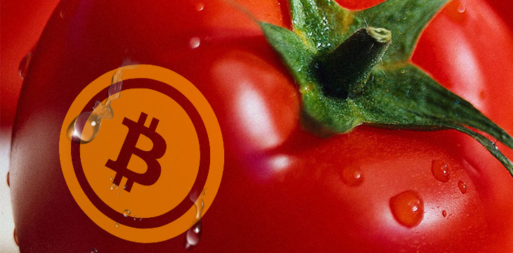 'Cryptomatoes' wants to recycle crypto mining heat to grow crops