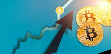 Bitcoin Cash outperforms the crypto market with over 20% growth