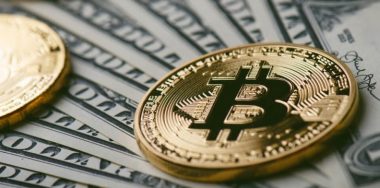 Bitcoin Cash touches $790 mark as crypto market continues recovery