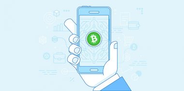 How to accept Bitcoin BCH payments with BitPay
