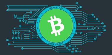 BCH network stress test set for September