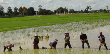 Oxfam utilizes blockchain to help Cambodian farmers