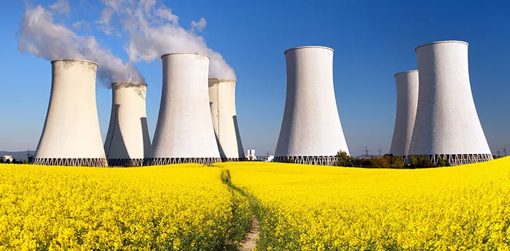 Crypto miners could be beneficial to nuclear reactors