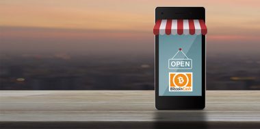My light-bulb moment: Bitcoin Cash works!