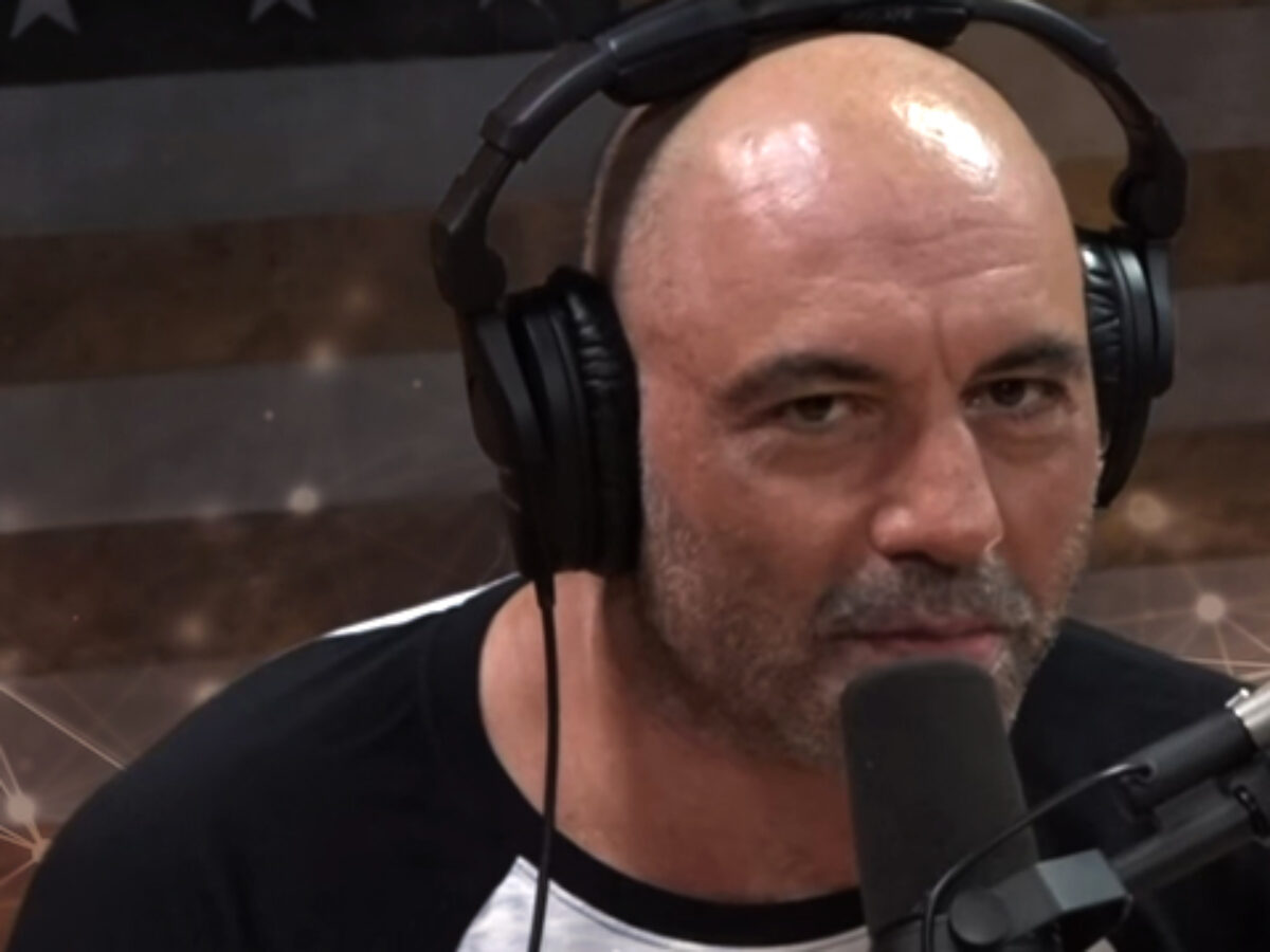 Joe rogan podcast hamster