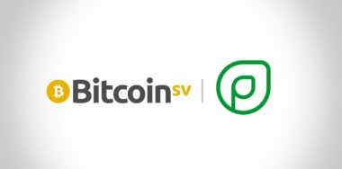 Bitcoin digital image and identity company, Pixel Wallet, secures investment from Calvin Ayre