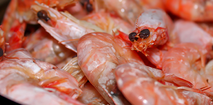 Walmart pilot to track shrimp imports via blockchain