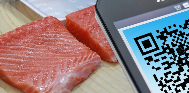 mitsubishi-subsidiary-is-putting-salmon-on-blockchain-min