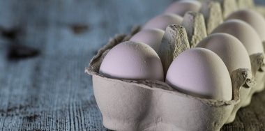 Farmers Hen House allows customers to trace eggs via blockchain