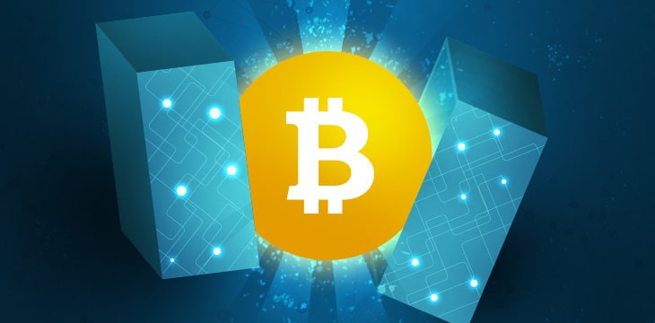 Jimmy Nguyen: Bitcoin SV will shine brighter after block reward halving