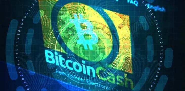 Troubled BCH thinks small as world looks for leadership