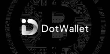 BSV wallet DotWallet thrives as BTC and ETH struggle