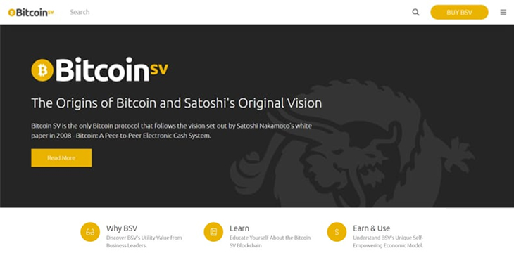 bitcoin satoshi vision wiki