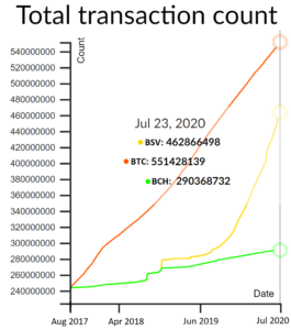 2020-report-the-original-bitcoin-speaks-volumes-1