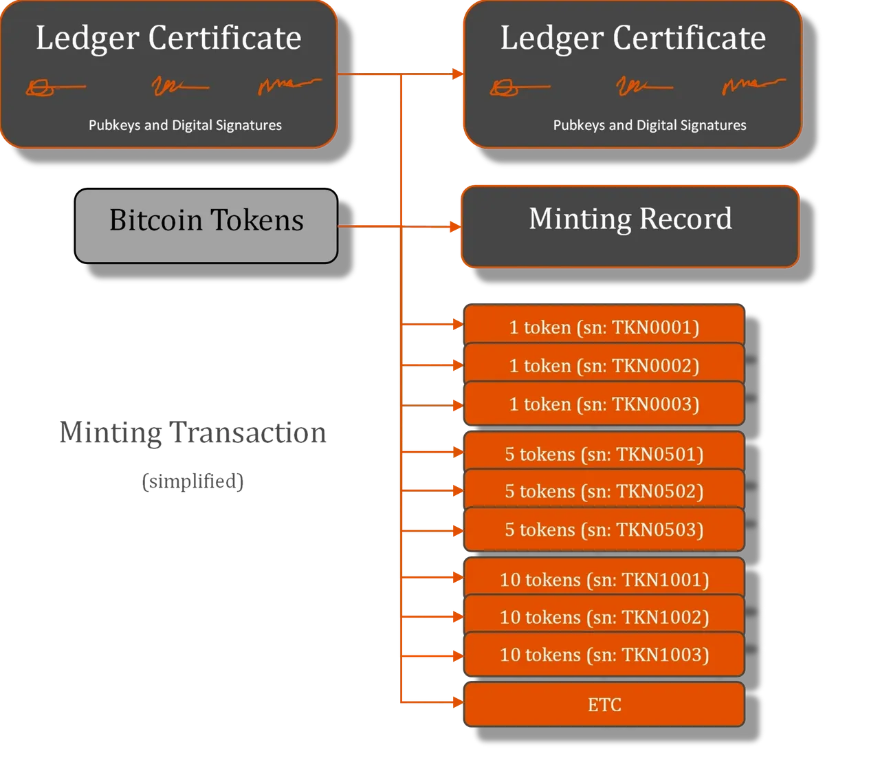 Elas Ledgers and Satoshi Tokens