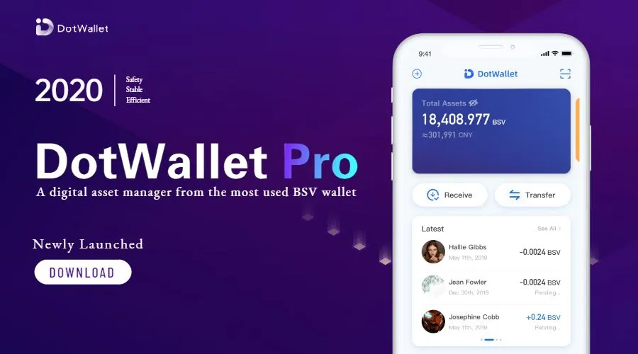 brand-new-app-dotwallet-pro-is-officially-launched