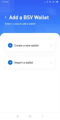 Screenshot of creating a wallet