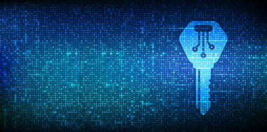 Digital key. Electronic key icon made with binary code. Cyber security and access background