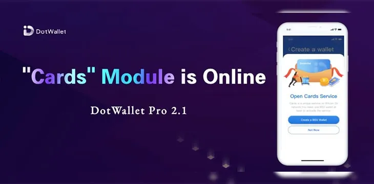 DotWallet Pro: Huge Update! What’s New?