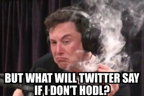 elon-musk-would-hate-bsv-3