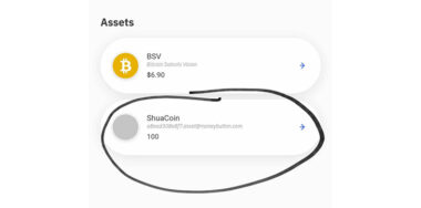 ShuaCoin, Bitcoin’s first token on Fabriik SFP Protocol