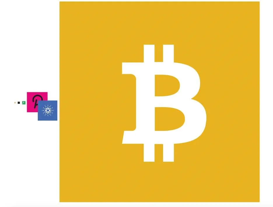 BTC, ETH, BCH, DOT and ADA to scale vs BSV