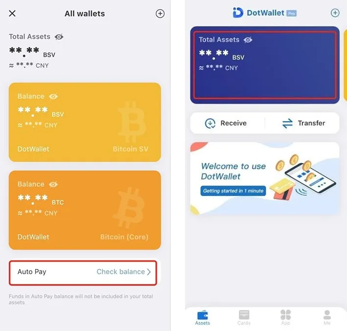 DotWallet Asset Details