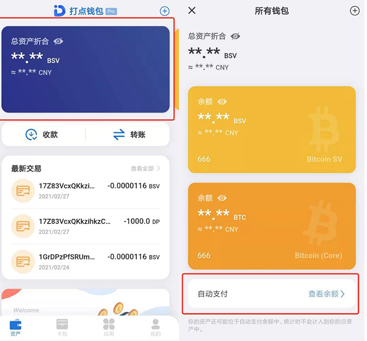 DotWallet Asset Details in Chinese