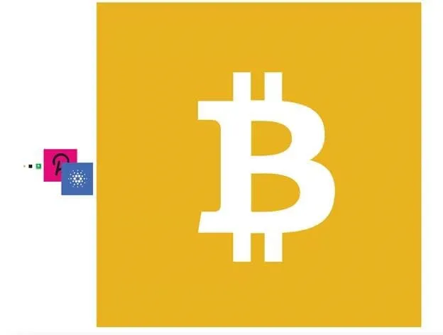 To scale representation of BTC, ETH, BCH, DOT and ADA compared to BSV’s known bandwidth