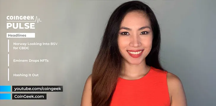 Stephanie Tower for The CoinGeek Pulse