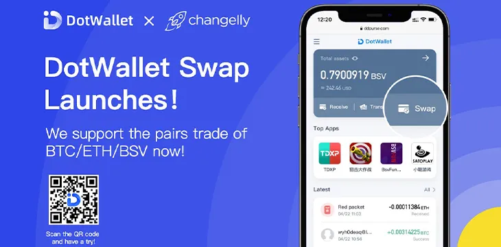 Another Huge Update! DotWallet Adds Multi-currency Swap Feature!