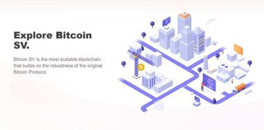 vaionexs-robin-kohze-talks-bringing-developers-to-bitcoin-sv-ecosystem-with-bitcoin-association