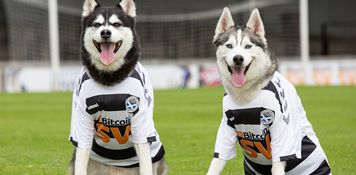 Ayr United Kit Launch: 10 Year Sponsorship Anniversary is celebrated with Kenny Dog-Leash & Paul Dogba*