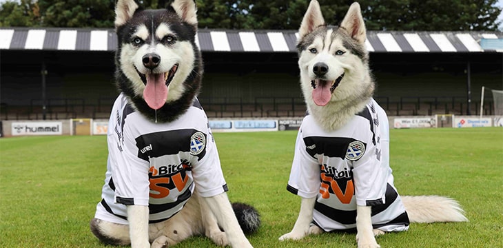 Ayr United celebrates 10-year anniversary with Paul Dogba, Kenny Dog-Leash