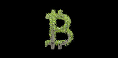 Growing Tree in a shape of a bitcoin sign