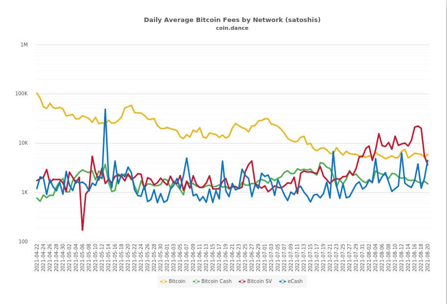 BSV takes the lead...and it’s just getting started