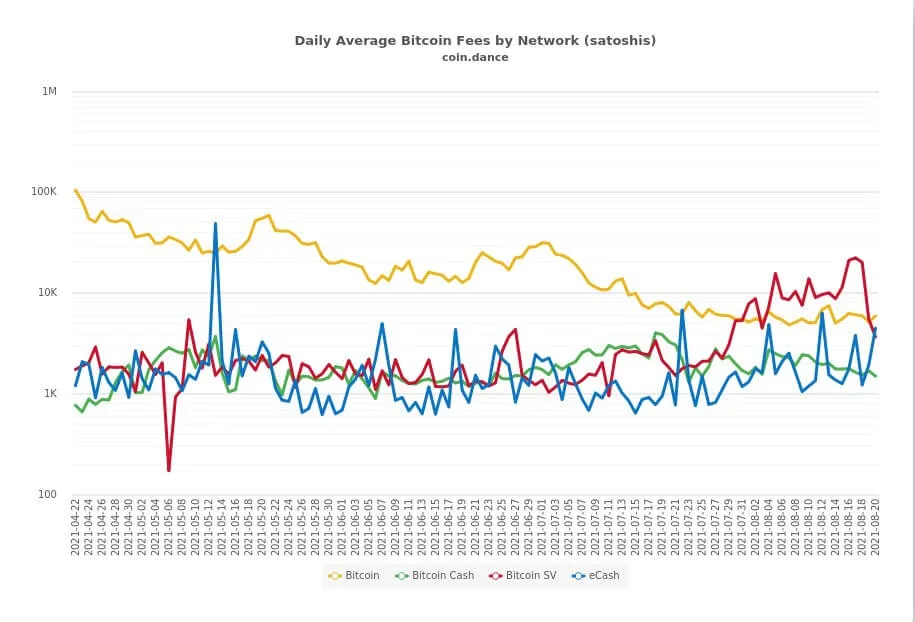 BSV takes the lead...and it’s just getting started