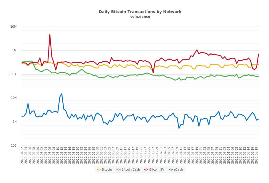 BSV transactions have already overtaken all other networks, with each transaction creating fees for miners