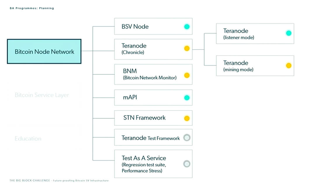 steve-shadders-on-state-of-bsv-network-look-to-spv-liteclient-program-to-deal-with-bsvs-rapid-growth-4.jpg