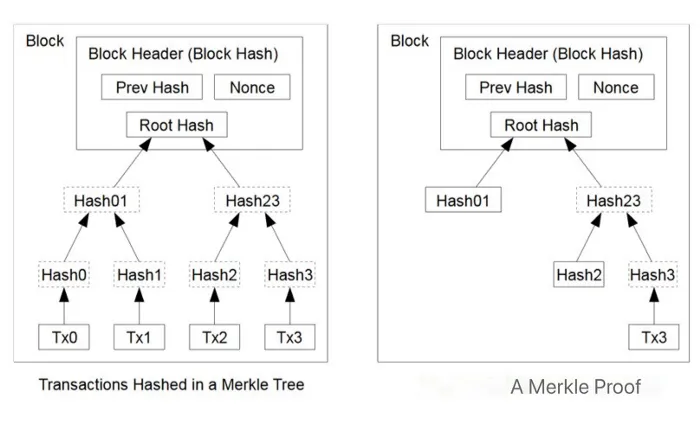 Access blockchain data from Bitcoin smart contracts without oracles