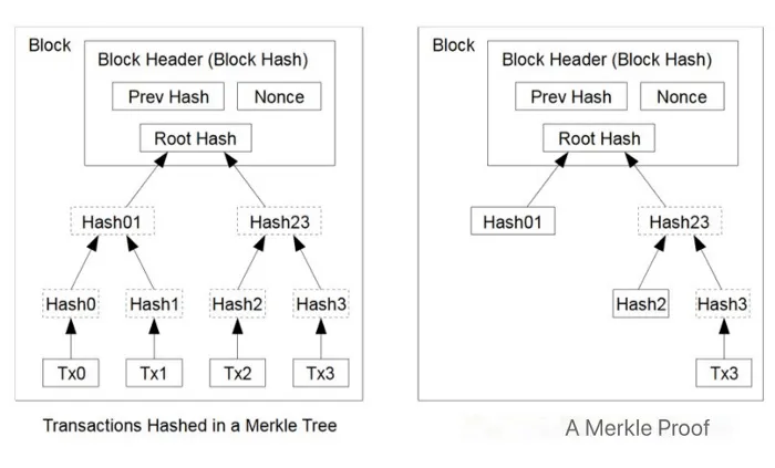 A Merkle Tree and Merkle Proof