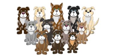 流畅、时髦且有趣：Duro Dogs NFT宠物游戏正式在BSV网络上发布