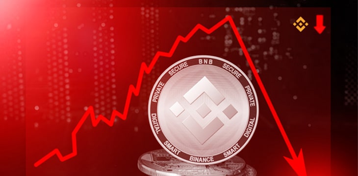 Binance Coin cryptocurrency value price fall drop