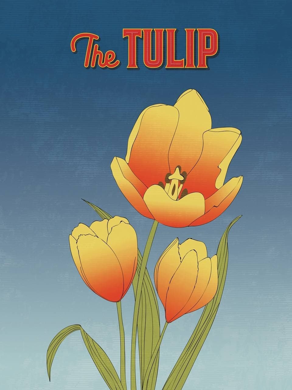 The Tullip Bullish Art