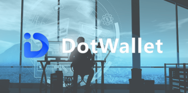DOT wallet logo with programmer in the background