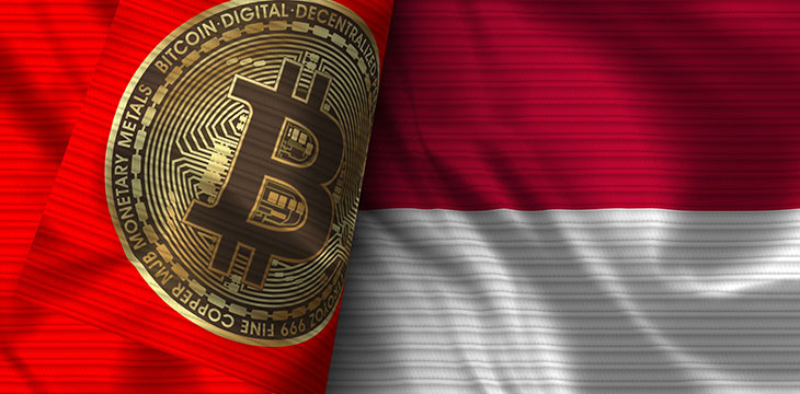 Indonesia and Bitcoin Realistic Flag