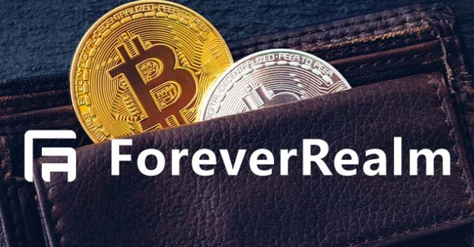 fiat currency payments with forever realm logo in a black wallet