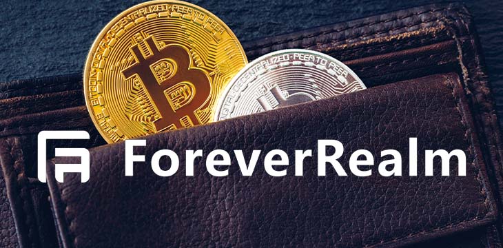 fiat currency payments with forever realm logo in a black wallet