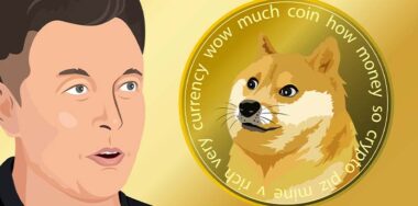 Elon Musk and Dogecoin. Portrait of Elon Musk Dogecoin.